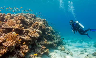 5 Fun Activities For Holidays